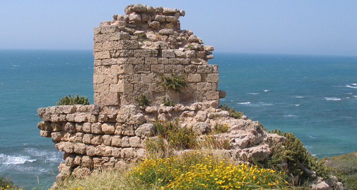 In der Nähe der Kreuzfahrerfestung von Apollonia-Arsuf haben Archäologen einen Goldschatz entdeckt.