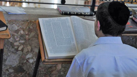 Talmudstudium in Bnei Brak: Nach siebeneinhalb Jahren haben ultraorthodoxe Juden den Lesezyklus beendet.