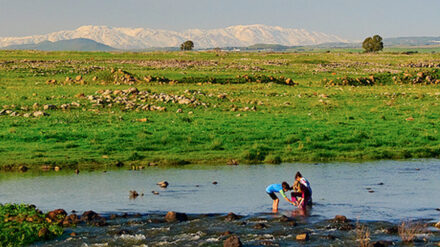 Wasser für Israels Felder: Das soll bald noch effektiver genutzt werden. Im Bild: eine Frühlingsflut in den Golanhöhen.