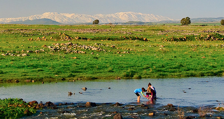 Wasser für Israels Felder: Das soll bald noch effektiver genutzt werden. Im Bild: eine Frühlingsflut in den Golanhöhen.