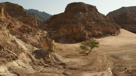 Auf der Sinai-Halbinsel herrscht ein Machtvakuum.