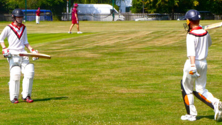 Britische Parlamentarier spielen Kricket für den Frieden in Israel.