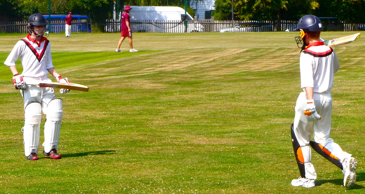 Britische Parlamentarier spielen Kricket für den Frieden in Israel.