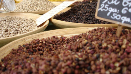 Israel lockert die Warenausfuhr von Gaza weiter: Jetzt dürfen Bauern wieder Gewürze nach Europa liefern.