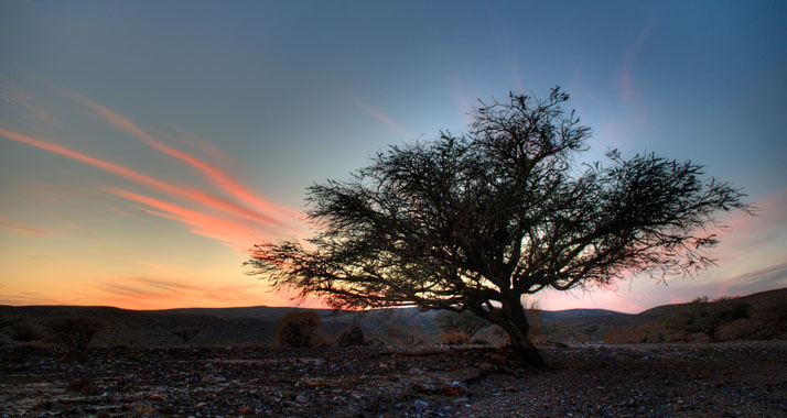 Noch ist die Natur unberührt: "Lonely Planet" rät zu Reisen in den Negev.