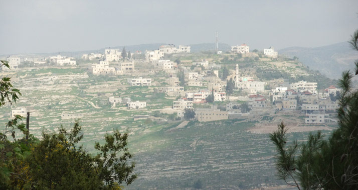 In der palästinensischen Ortschaft Ras Karkar hat Catherine Ashton die Olivenbauern unterstützt.
