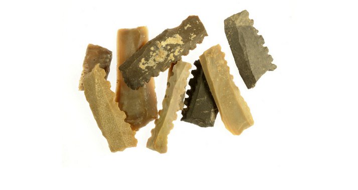 Erntehilfen: In einem alten Brunnen entdeckten Forscher Sichelklingel aus Kiesel, die bei der Ernte eingesetzt wurden.