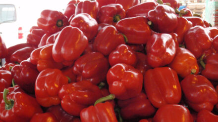 Vitaminreich: rote Paprika auf einem israelischen Markt
