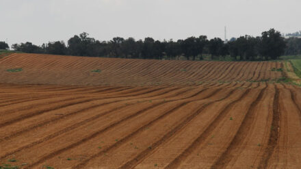 In der Region Eschkol haben Bauern aus Gaza Einblick in die israelische Landwirtschaft erhalten.