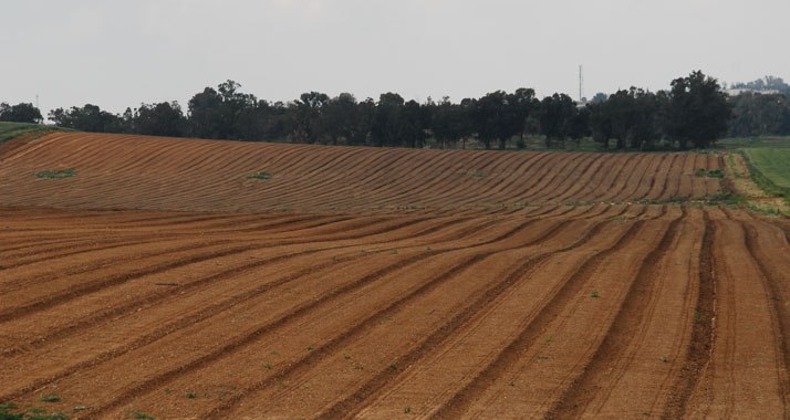 In der Region Eschkol haben Bauern aus Gaza Einblick in die israelische Landwirtschaft erhalten.