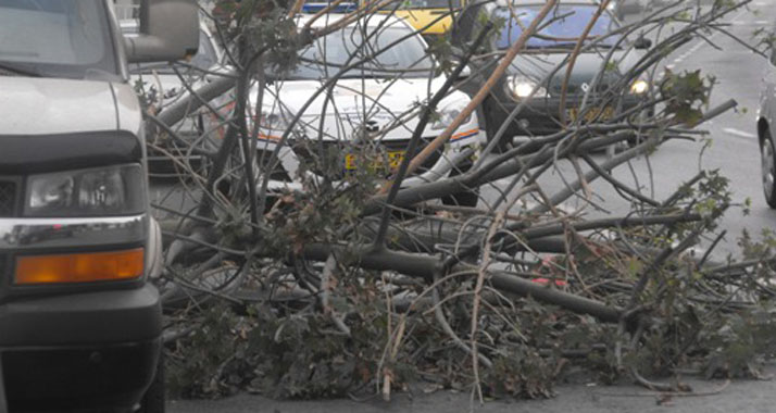 Durch den Sturm sind zahlreiche Bäume umgestürzt und Äste herunterfallen (Archivbild).