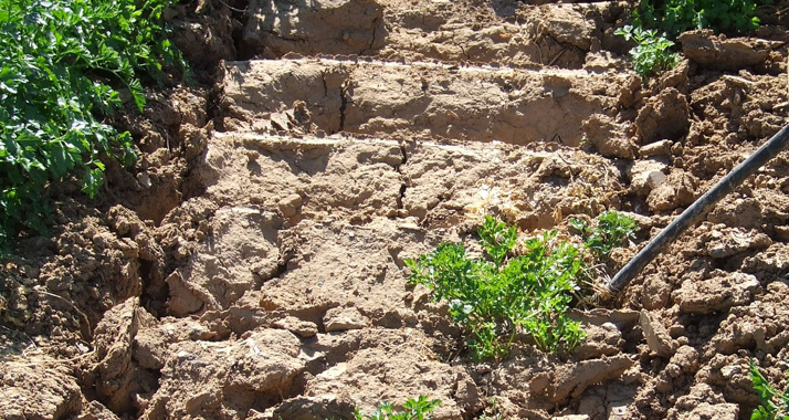 Ein palästinensischer Bauer ist im Gazastreifen unter ungeklärten Umständen durch Schüsse tödlich verwundet worden.