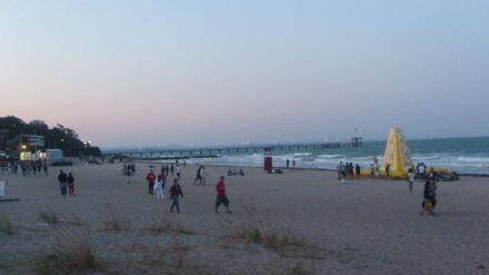 Laut Ermittlungen steht die Hisbollah hinter dem Angriff auf israelische Touristen in Burgas. Politiker fordern nun, Maßnahmen gegen sie zu ergreifen.