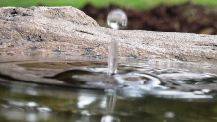 Ausreichend Wasser zu haben, wird in Nahost zu einer immer größeren Herausforderung.