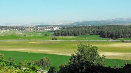 Über der Region Schfela ist ein Kampfhubschrauber abgestürzt.