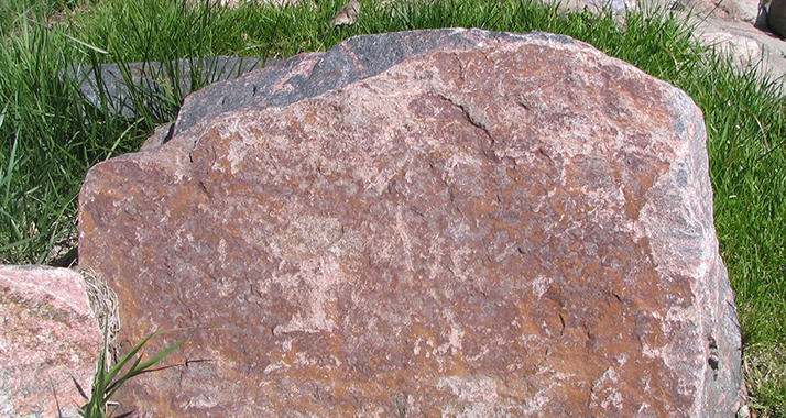 Mehrere Verletzte: Steinewerfer bewarfen bei Ariel Fahrzeuge.