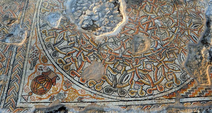 Dieses gut erhaltene Mosaik wurde auf einem Feld in Südisrael freigelegt.