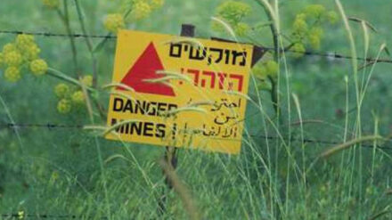 Warum die Mine im Golan explodiert ist, wird derzeit von der Armee untersucht.