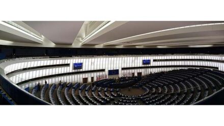 Der Plenarsaal des Europa-Parlaments - hier vertritt Paul Murphy die Interessen der Sozialistischen Partei Irlands.