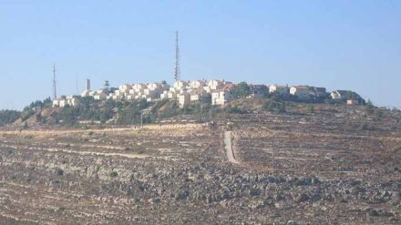 In der jüdischen Siedlung Psagot wurde ein Mädchen angegriffen.