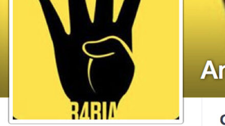 In sozialen Netzwerken solidarisieren sich viele Nutzer mit der Widerstandsbewegung "r4bia".