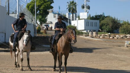 Das Megiddo-Gefängnis – ein palästinensischer Häftling aus der Einrichtung ist an Leukämie gestorben.