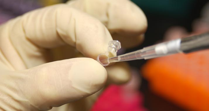 Einigung gefunden: Israel beteiligt sich aller Voraussicht nach am EU-Wissenschaftsprojekt Horizon 2020.