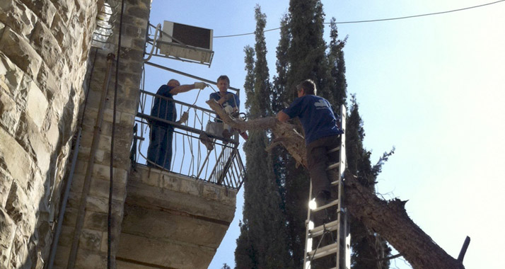 Auch das gehört zu den Einsätzen: Drei morsche Bäume müssen im Garten der Familie Illan in Jerusalem gefällt werden.