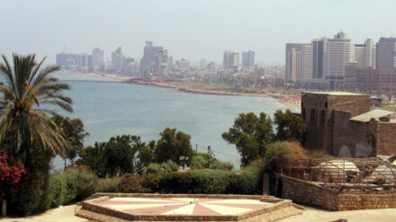 Rat für das Studium gibt es vom DAAD nun in einer neuen Niederlassung in Tel Aviv.