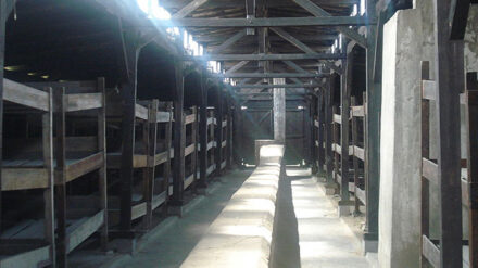 Arabische Häftlinge lernen über den Holocaust. Im Bild: Baracke in Auschwitz