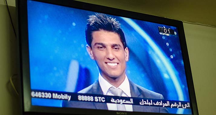 Der Palästinenser Mohammed Assaf wurde vergangenes Jahr zum "Arab Idol" gekürt.