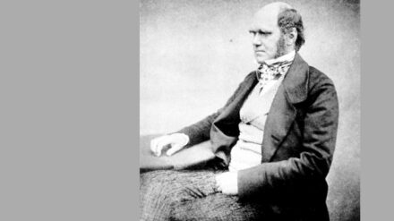 Darwin veröffentlichte im Alter von 51 Jahren seine Evolutionstheorie.
