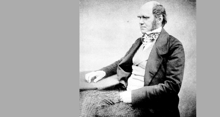 Darwin veröffentlichte im Alter von 51 Jahren seine Evolutionstheorie.