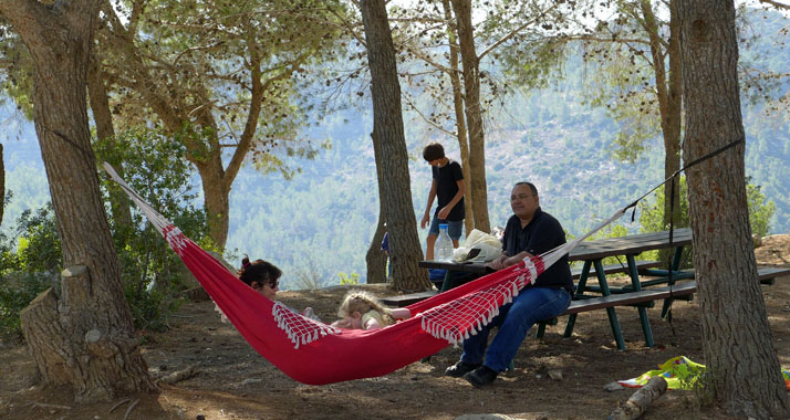 Der Wald in Israel dient vor allem dem Bodenschutz, dem Klima, der Umwelt, aber auch der Erholung.