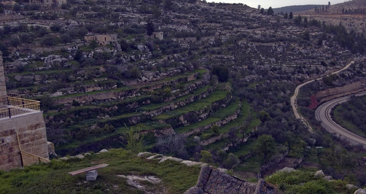 Neu auf der Liste des UNESCO-Welterbes: Die Terrassen von Battir im Westjordanland ...