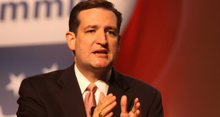 Ted Cruz gilt vielen Beobachtern als möglicher Präsidentschaftskandidat für die Wahlen 2016.