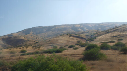 Im israelisch-libanesischen Grenzgebiet hat es am Sonntag einen militärischen Zwischenfall gegeben.