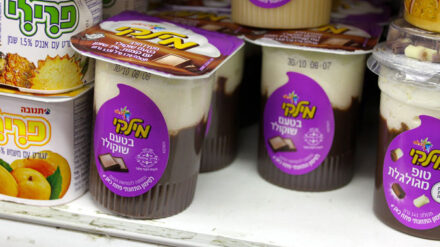Der Protest gegen die hohen Lebenshaltungskosten in Israel konzentriert sich diesmal auf den Schokopudding der Marke "Milky".