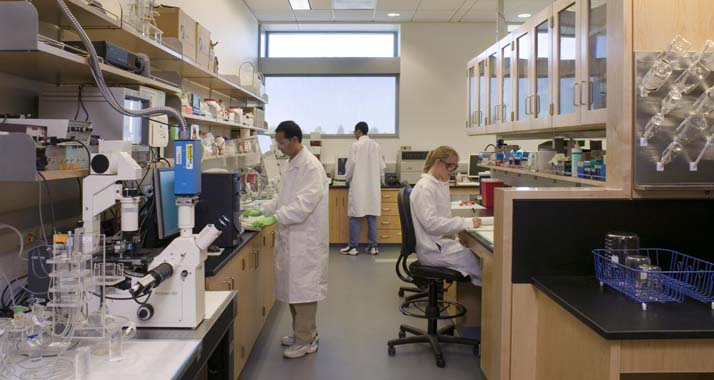 Israelische, jordanische und Schweizer Forscher arbeiten an einem gemeinsamen Projekt. (Symbolbild)