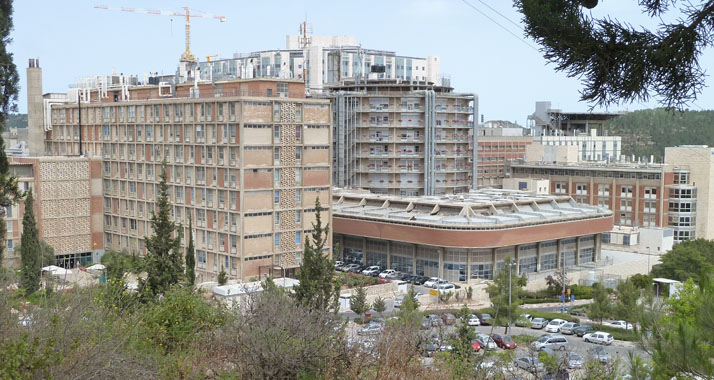 In Jerusalemer Krankenhäusern wie dem Hadassa behandeln Ärzte derzeit fünf durch Auto-Anschläge verletzte Personen.