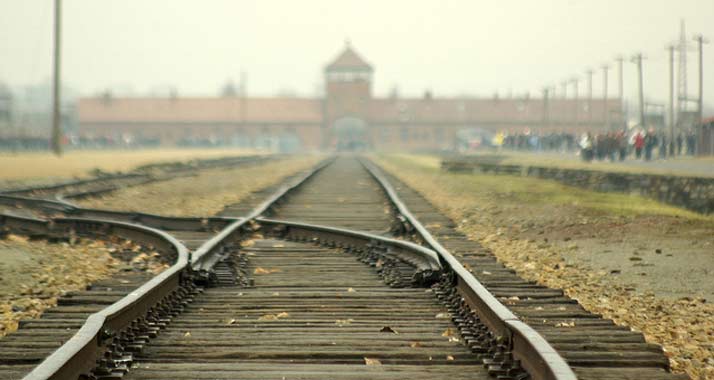 Erinnerung, die nicht verblassen darf: Zum Holocaust-Gedenktag mahnen Politiker, Auschwitz nicht zu vergessen.