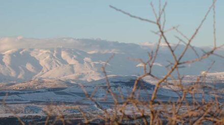 Kämpfer der Hisbollah haben am Berg Hermon israelische Militärposten beschossen.