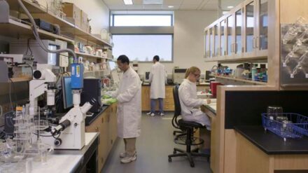 Forscher der Hebräischen Universität hoffen, einen Beitrag zur Heilung von Malaria leisten zu können. (Symbolbild)