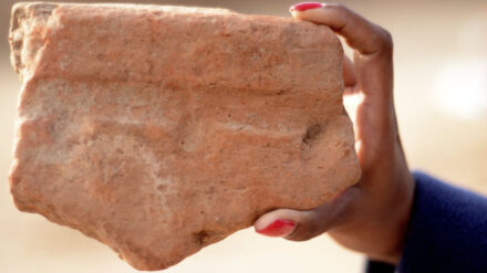Scherbe von einem in Tel Aviv entdeckten Gefäß, das die Ägypter zum Bierbrauen verwendeten.