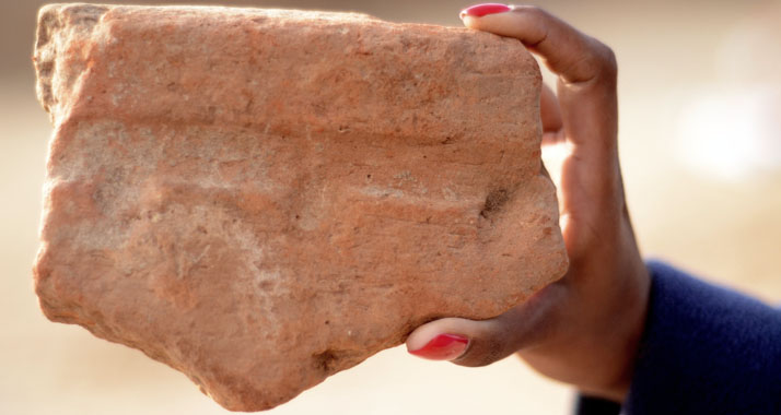 Scherbe von einem in Tel Aviv entdeckten Gefäß, das die Ägypter zum Bierbrauen verwendeten.