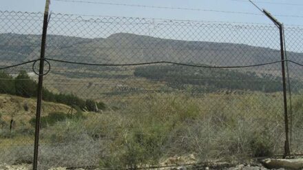 Angriff verhindert: Die Armee hat vier Terroristen nahe des Grenzzauns auf dem Golan getötet.