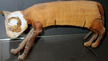 Die alten Ägypter brachten ihren Göttern Tieropfer wie diese Katzenmumie dar.