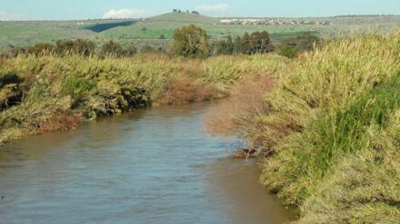 Durch gemeinsame Anstrengungen wollen Israelis, Jordanier und Palästinenser den Jordan wieder zu einem sauberen, breiten und tiefen Fluss machen.