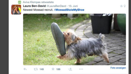Der neueste Agent des Mossad? Das Netz macht sich über die Schuhaffäre eines palästinensischen Aktivisten lustig.