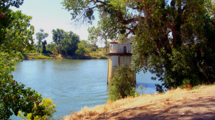 Ein Bild aus besseren Tagen: Der Sacramento River bei der kalifornischen Hauptstadt Sacramento führt heute weniger Wasser